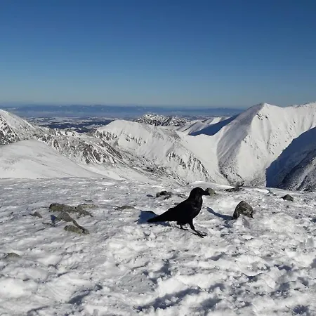 Dom wakacyjny Domcek U Hanov
