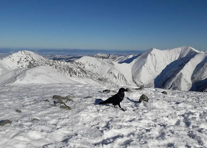 Hébergement de vacances Domcek U Hanov